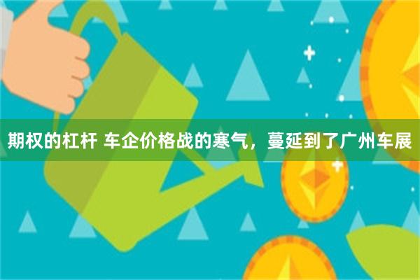 期权的杠杆 车企价格战的寒气，蔓延到了广州车展