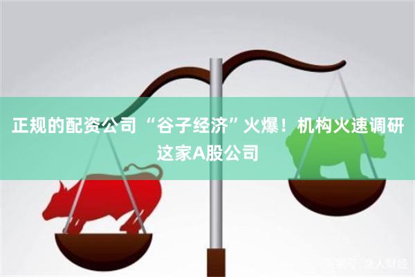 正规的配资公司 “谷子经济”火爆！机构火速调研这家A股公司