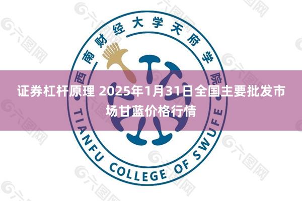 证券杠杆原理 2025年1月31日全国主要批发市场甘蓝价格行情