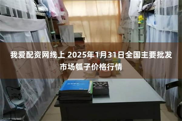 我爱配资网线上 2025年1月31日全国主要批发市场瓠子价格行情