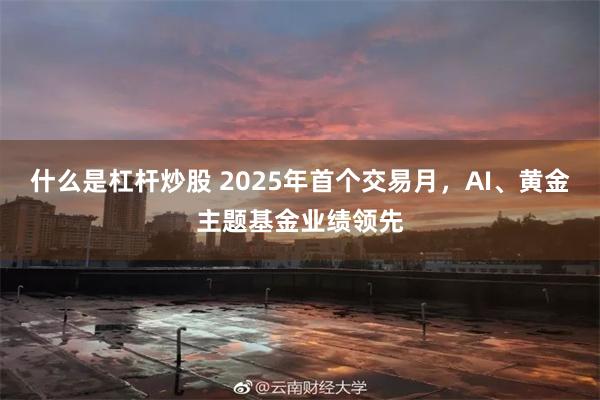 什么是杠杆炒股 2025年首个交易月，AI、黄金主题基金业绩领先