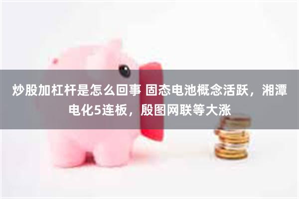 炒股加杠杆是怎么回事 固态电池概念活跃，湘潭电化5连板，殷图网联等大涨