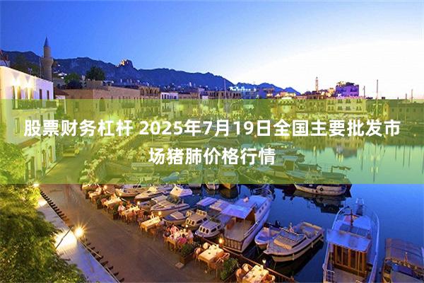 股票财务杠杆 2025年7月19日全国主要批发市场猪肺价格行情