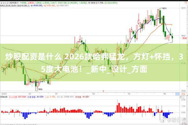 炒股配资是什么 2026款哈弗猛龙，方灯+怀挡，35度大电池！_新中_设计_方面
