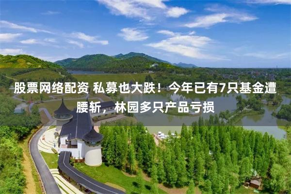 股票网络配资 私募也大跌！今年已有7只基金遭腰斩，林园多只产品亏损