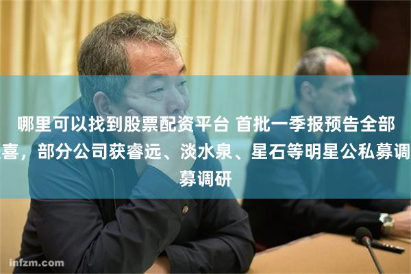 哪里可以找到股票配资平台 首批一季报预告全部预喜，部分公司获睿远、淡水泉、星石等明星公私募调研